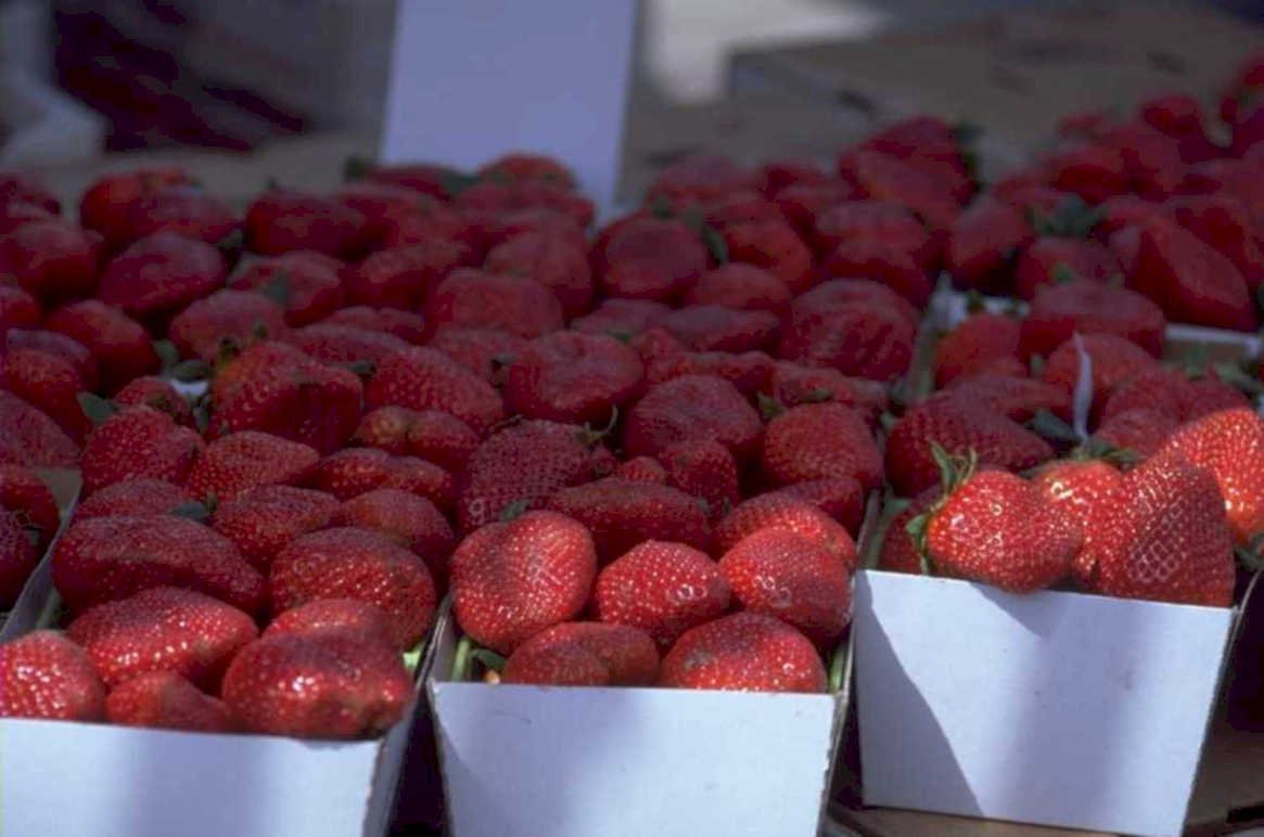 strawberries boxes market 1980s 1990s A4 Photo Print