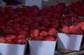 strawberries white boxes 1980s 1990s A4 Photo Print