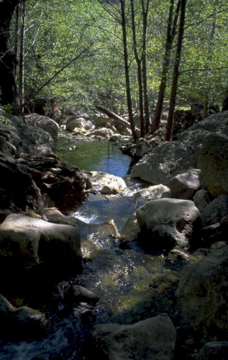 stream creek rocks 1980s 1990s A4 Photo Print