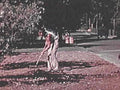 street cleaning debris1980s 1990s A4 Photo Print