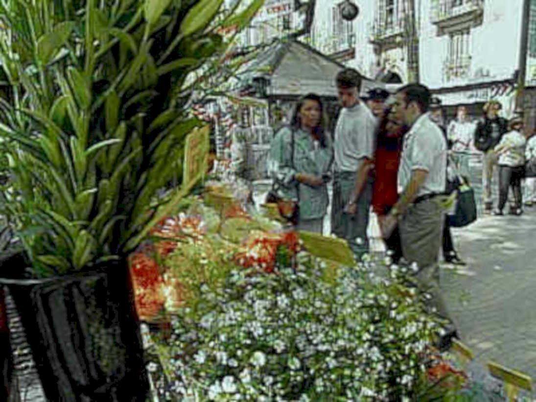 street market flowers1980s 1990s A4 Photo Print