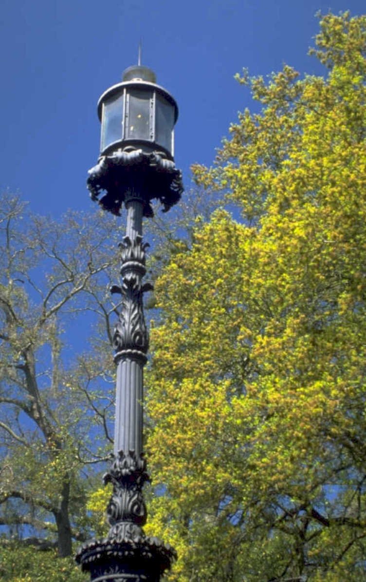 streetlamp dogwood park 1980s 1990s A4 Photo Print