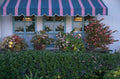 striped awning flowers 1980s 1990s A4 Photo Print