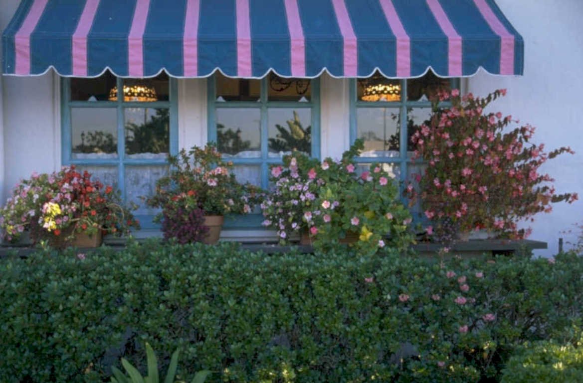 striped awning flowers 1980s 1990s A4 Photo Print