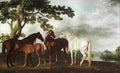 stu Mares and foals in river landscape Art A4 Photo Print