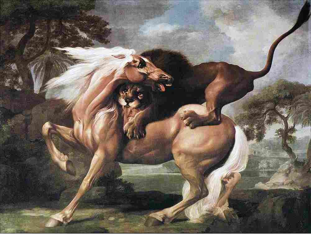 stu horse attached by lion Art A4 Photo Print