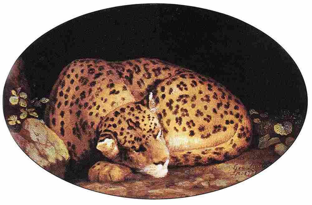 stu leopard enamel Art A4 Photo Print