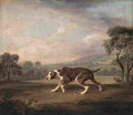 stu the pointer Art A4 Photo Print