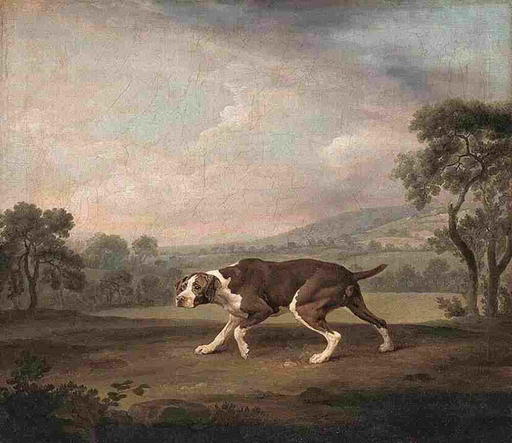stu the pointer Art A4 Photo Print