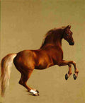 stu whistlejacket Art A4 Photo Print