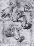 studies Art A4 Photo Print