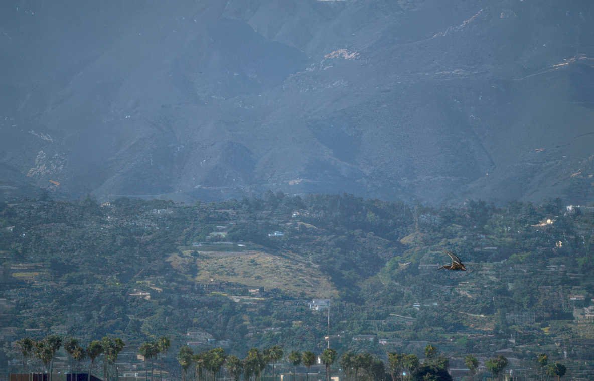 suburban glider mountains Vintage A4 Photo Print