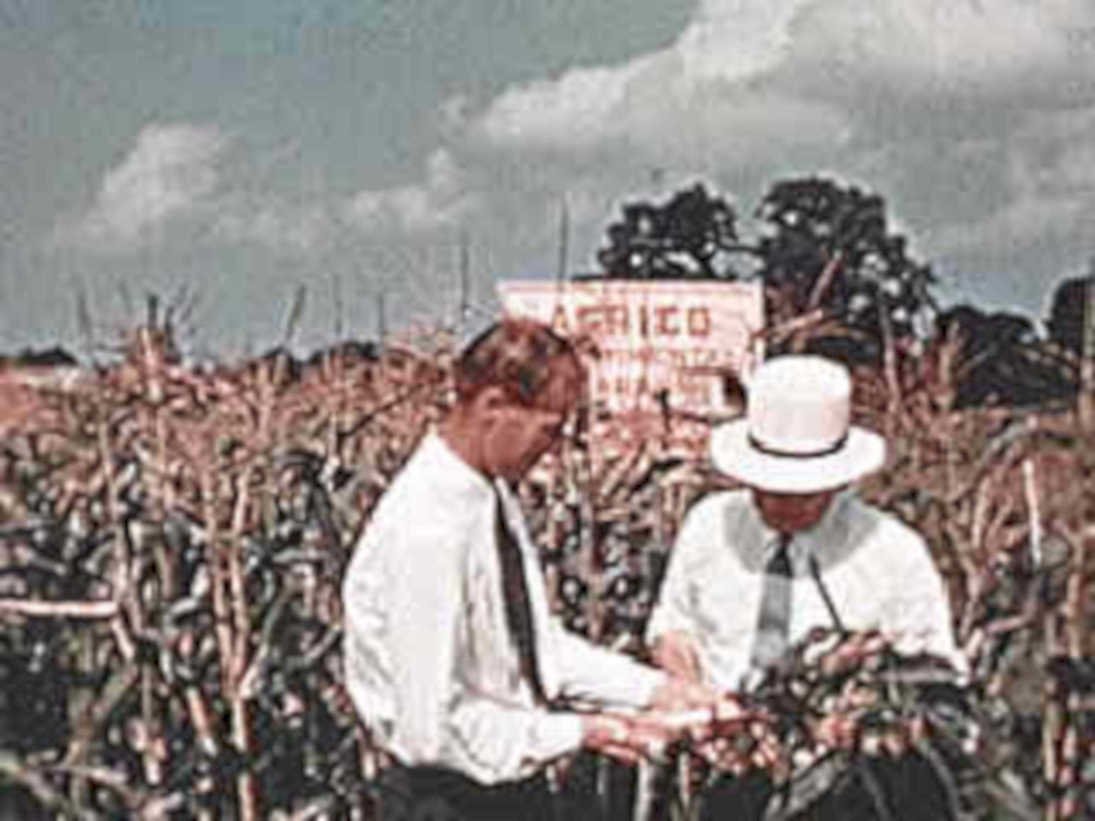 suits corn africa1980s 1990s A4 Photo Print