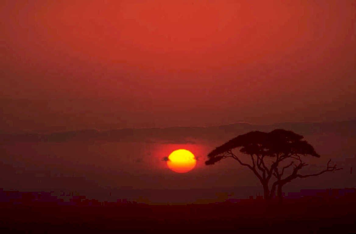 sunrise savanna horizon 1980s 1990s A4 Photo Print
