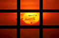 sunset airplane grid Vintage A4 Photo Print