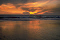 sunset beach birds 1980s 1990s A4 Photo Print 42