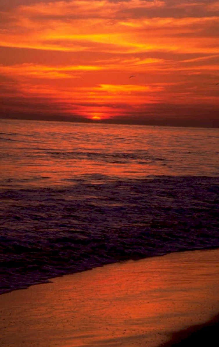 sunset beach birds 1980s 1990s A4 Photo Print 43