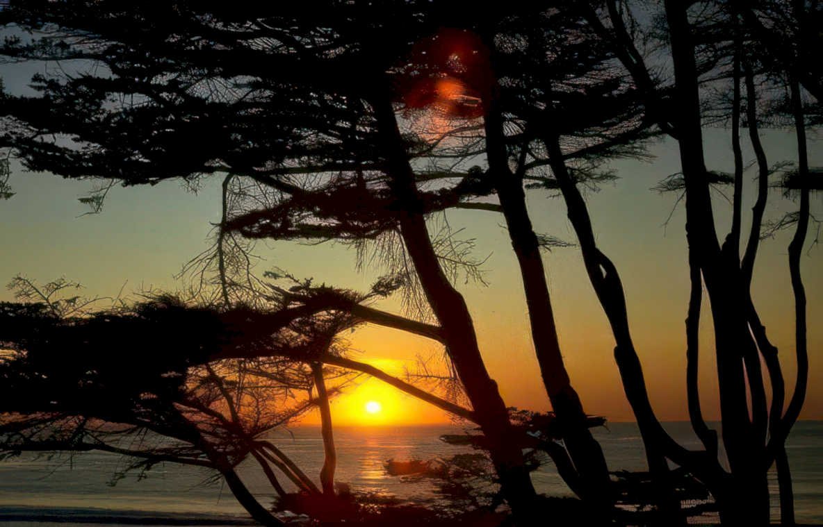 sunset beach cypress Vintage A4 Photo Print