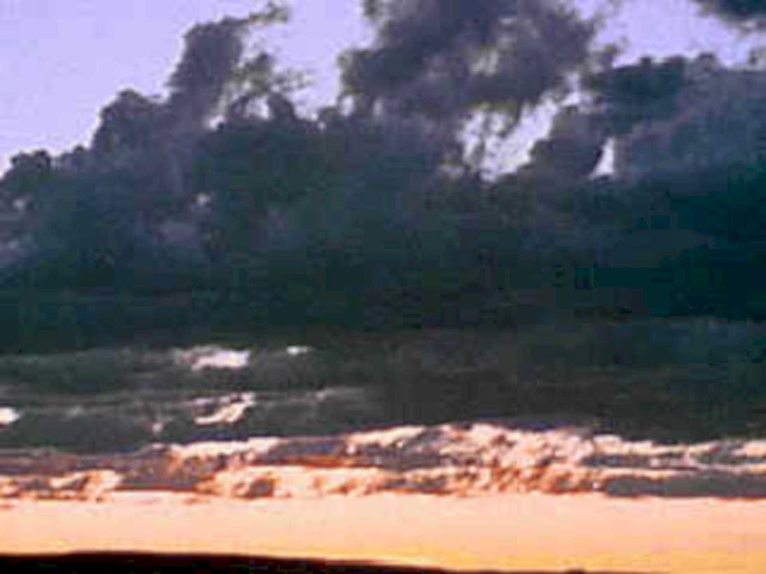 sunset beach forest1980s 1990s A4 Photo Print