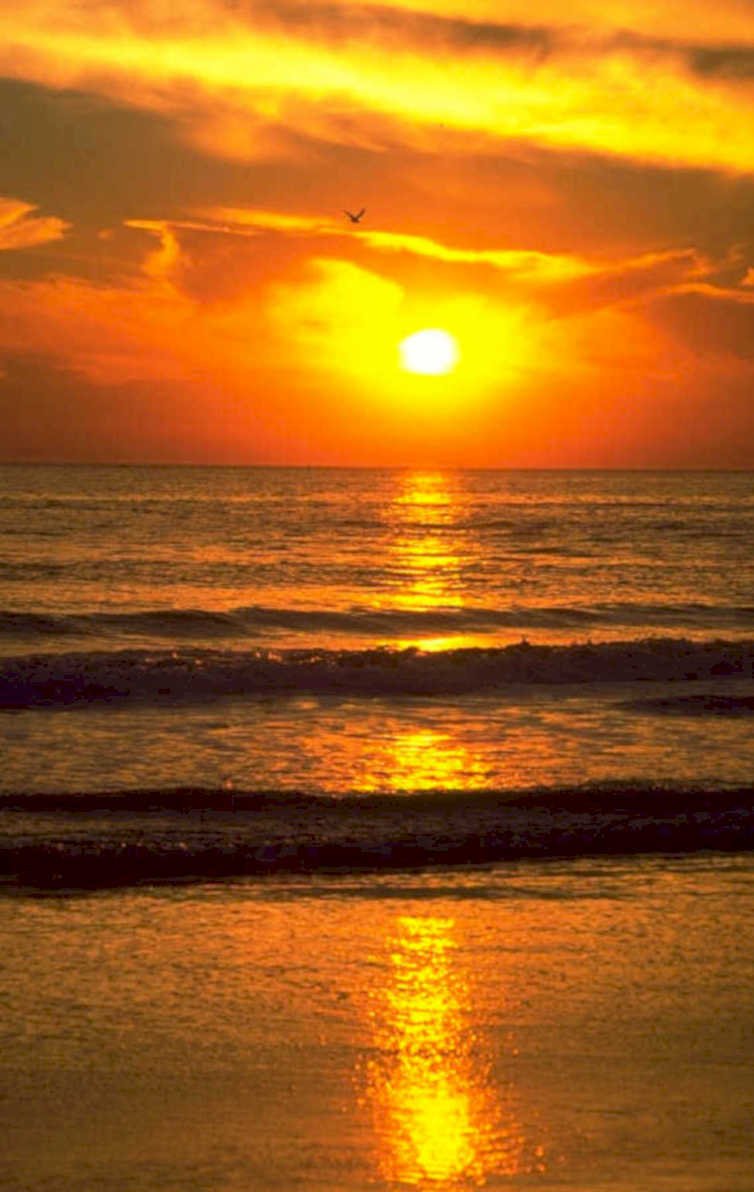 sunset beach golden 1 1980s 1990s A4 Photo Print 42