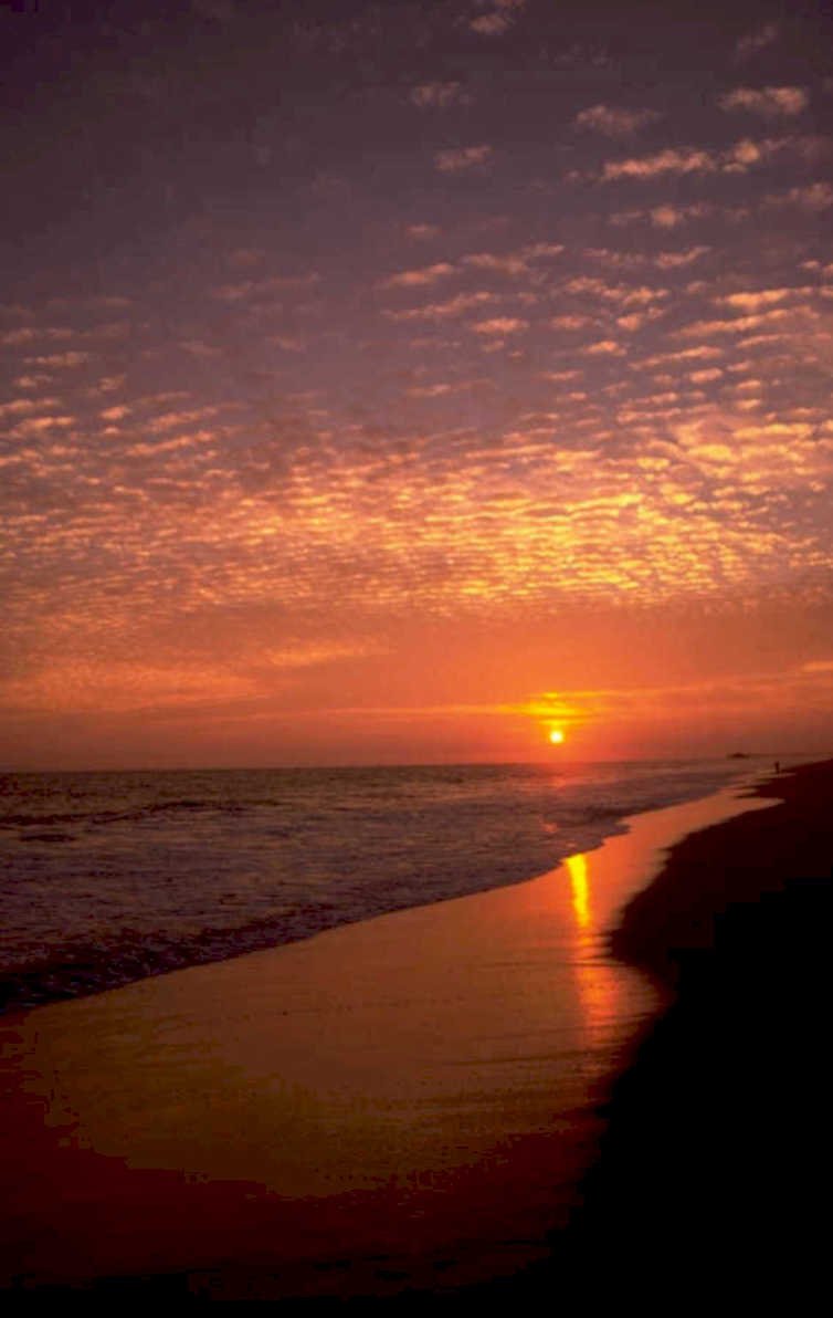 sunset beach golden 1 1980s 1990s A4 Photo Print 43