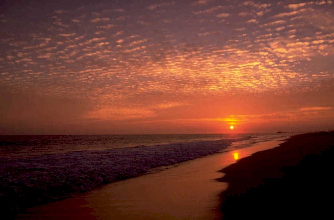 sunset beach golden 2 1980s 1990s A4 Photo Print 43
