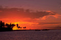 sunset beach palm 1 1980s 1990s A4 Photo Print