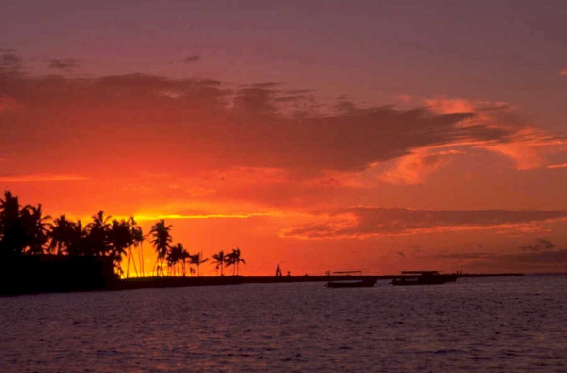 sunset beach palm 1 1980s 1990s A4 Photo Print