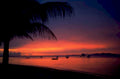 sunset beach palm 1980s 1990s A4 Photo Print 42