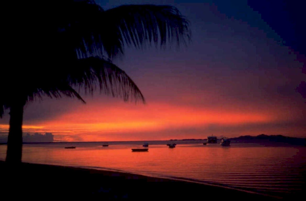 sunset beach palm 1980s 1990s A4 Photo Print 42