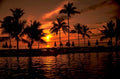 sunset beach palm 1980s 1990s A4 Photo Print