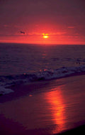 sunset beach redsky 1980s 1990s A4 Photo Print