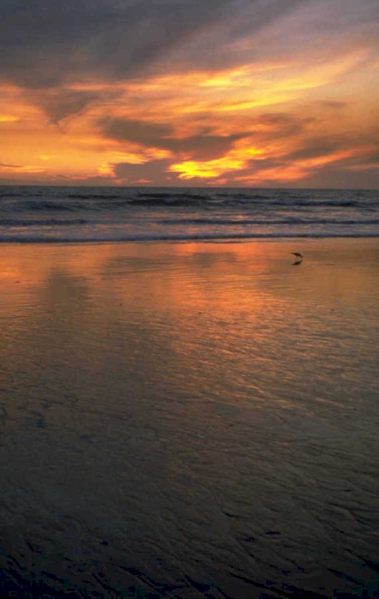 sunset beach reflection 1 1980s 1990s A4 Photo Print
