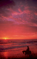 sunset beach rider 1980s 1990s A4 Photo Print