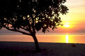 sunset beach silhouette 1 1980s 1990s A4 Photo Print 42
