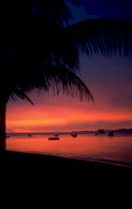 sunset beach silhouette 1 1980s 1990s A4 Photo Print 43