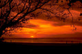 sunset beach silhouette 1 1980s 1990s A4 Photo Print 44