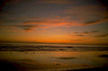 sunset beach silhouette 1 1980s 1990s A4 Photo Print