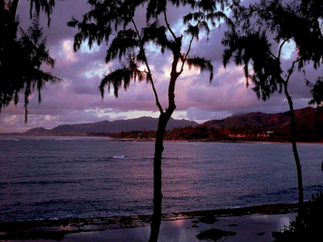 sunset beach silhouette1980s 1990s A4 Photo Print 42