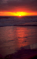 sunset beach waves 1 1980s 1990s A4 Photo Print