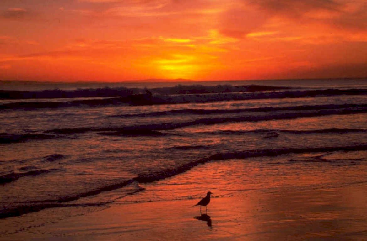sunset beach waves 2 1980s 1990s A4 Photo Print