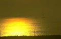 sunset birds water Vintage A4 Photo Print