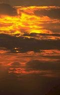 sunset clouds birds 1980s 1990s A4 Photo Print
