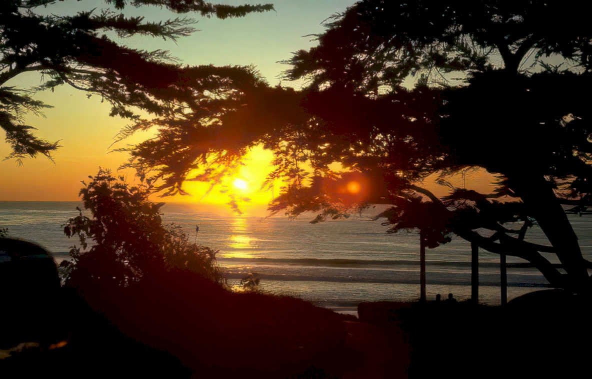 sunset coast silhouetted 1 Vintage A4 Photo Print