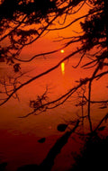 sunset coast silhouetted 1980s 1990s A4 Photo Print