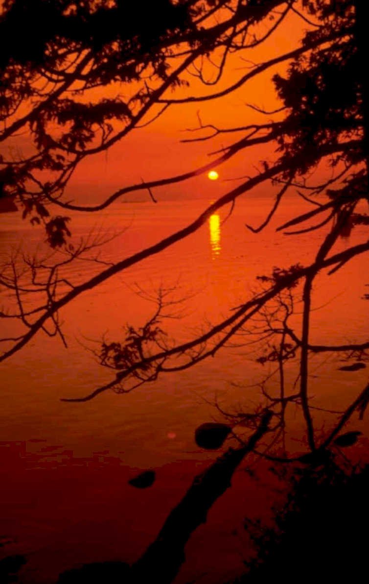 sunset coast silhouetted 1980s 1990s A4 Photo Print