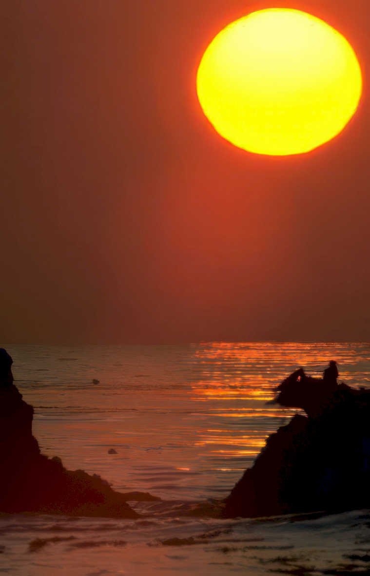 sunset coast silhouetted Vintage A4 Photo Print
