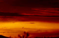 sunset desert cacti Vintage A4 Photo Print
