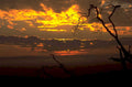 sunset desert silhouette 1980s 1990s A4 Photo Print