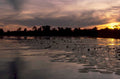 sunset everglades lilypads 1980s 1990s A4 Photo Print